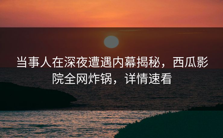 当事人在深夜遭遇内幕揭秘，西瓜影院全网炸锅，详情速看