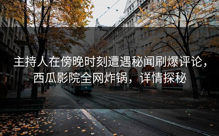 主持人在傍晚时刻遭遇秘闻刷爆评论，西瓜影院全网炸锅，详情探秘