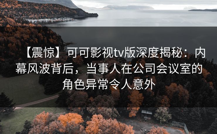 【震惊】可可影视tv版深度揭秘：内幕风波背后，当事人在公司会议室的角色异常令人意外