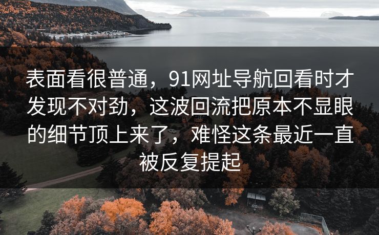表面看很普通，91网址导航回看时才发现不对劲，这波回流把原本不显眼的细节顶上来了，难怪这条最近一直被反复提起